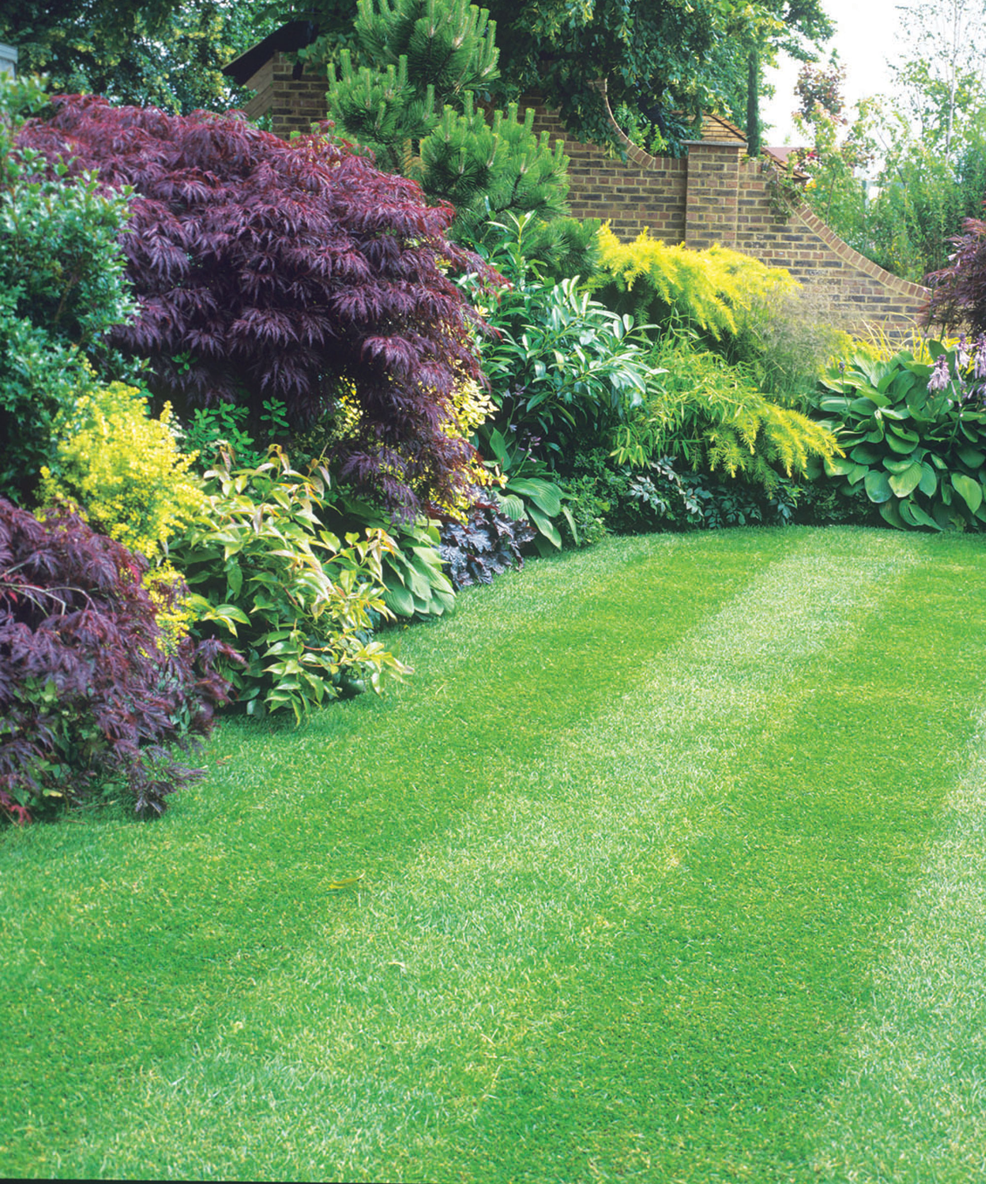 lawn with flowerbeds and shrubs