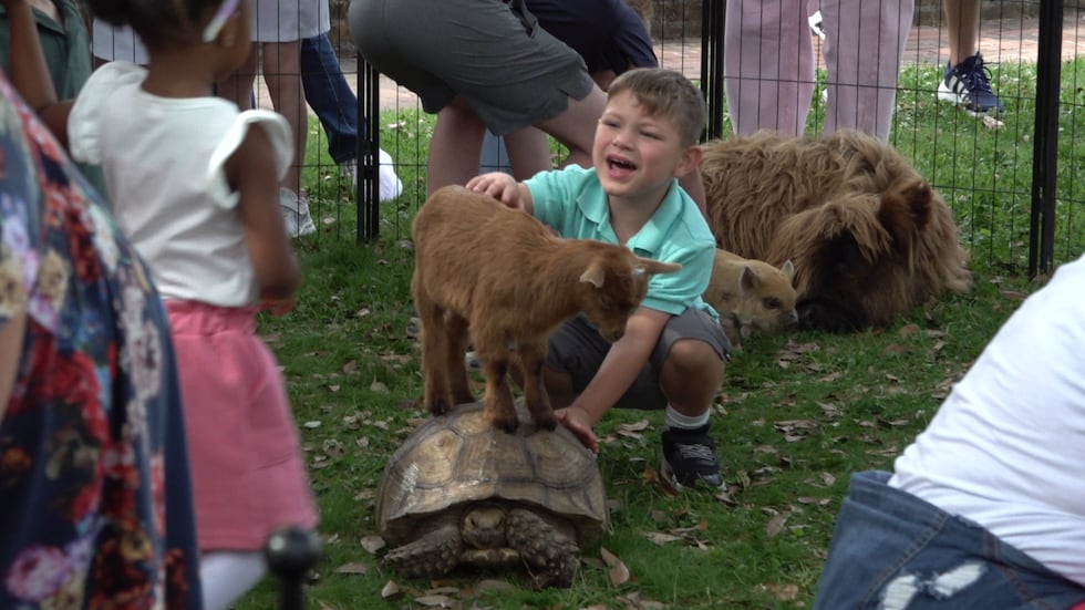 A goat and tortoise wowed crowds at the newest Egg Scramble feature: a petting zoo.
