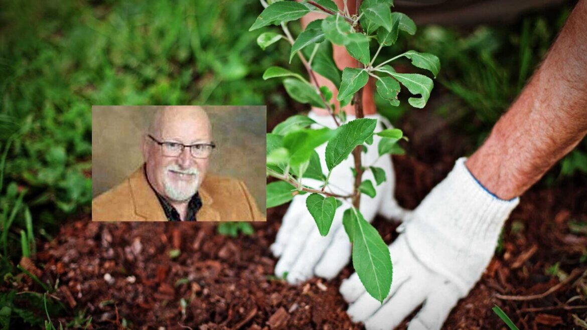 MASTER GARDENER: New Garden Companions for 2026