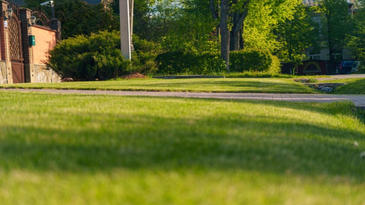 A manicured front lawn in the spring sunshine