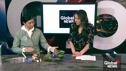 Local plant designer featured at this spring’s Edmonton Home and Garden Show Local plant designer featured at this spring’s Edmonton Home and Garden Show