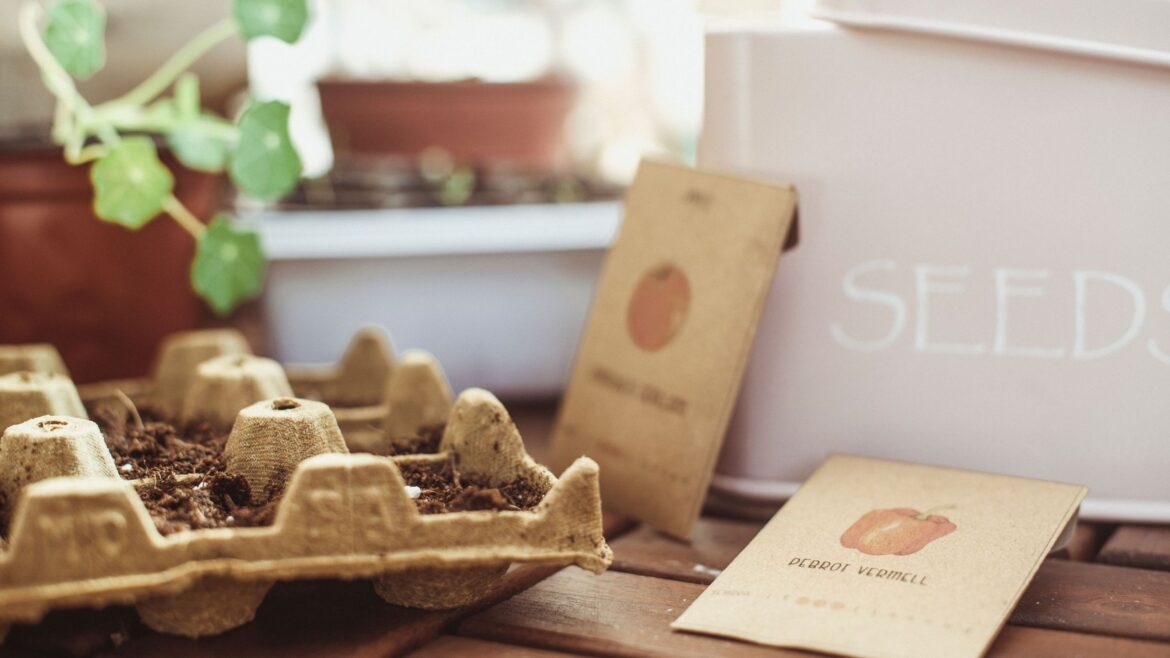 5 ways I'm reusing egg cartons in my garden this spring