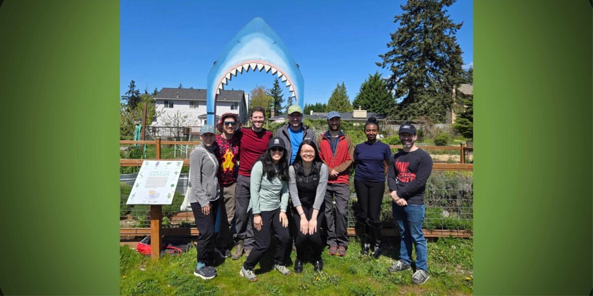 Burien's Shark Garden seeking volunteer groups for spring season