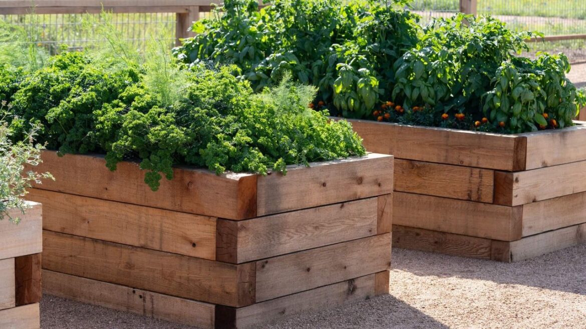 13 Raised Garden Bed Ideas to Elevate Your Backyard This Spring