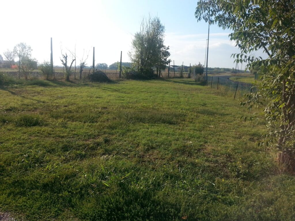 Before and after of my garden in Italy.