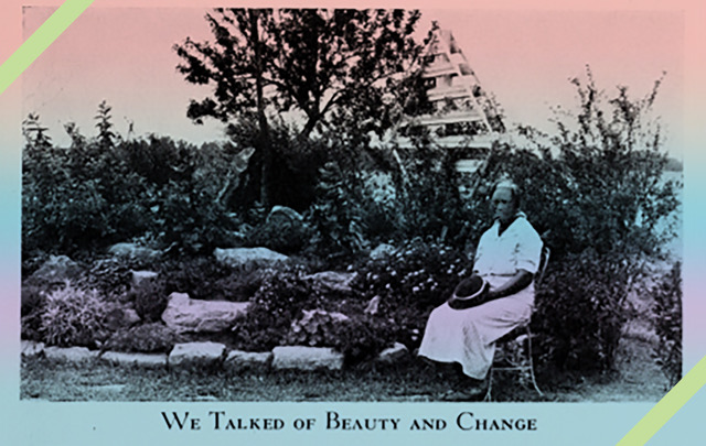 THE SELF-TAUGHT GARDENER: Conquer the soil THE SELF-TAUGHT GARDENER: Conquer the soil