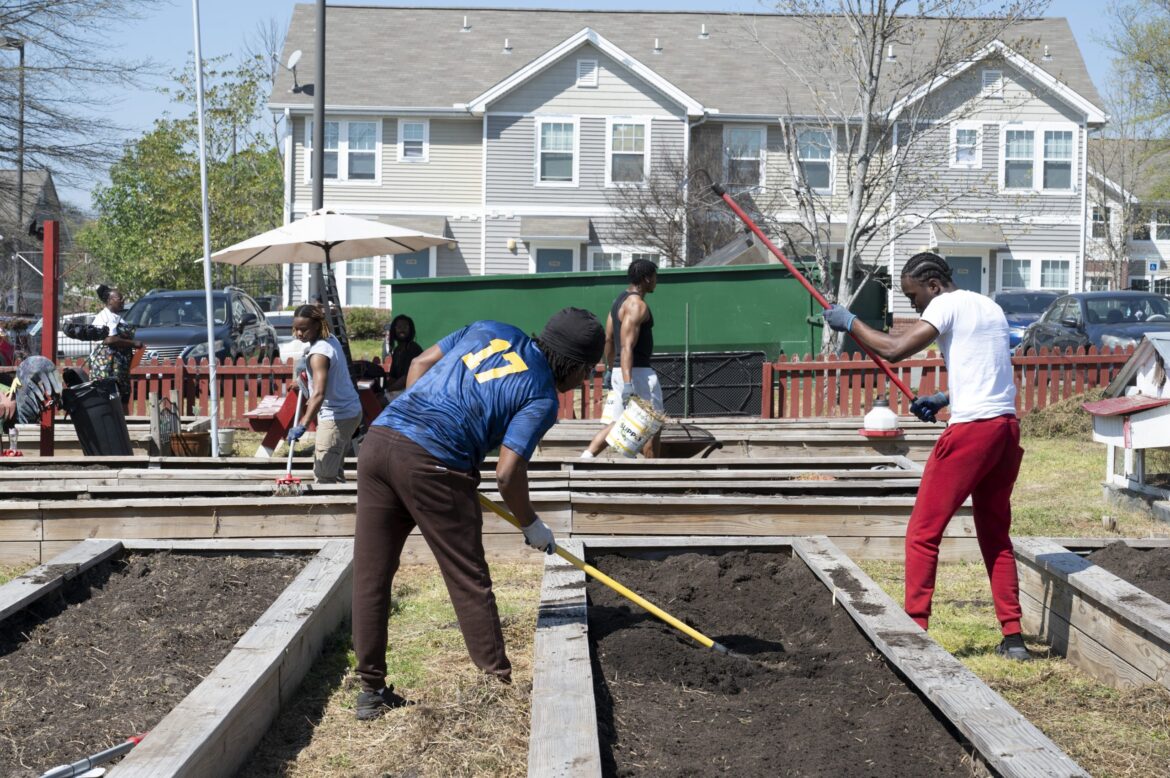 Philander Smith student garden teaches land stewardship, community connection Philander Smith student garden teaches land stewardship, community connection