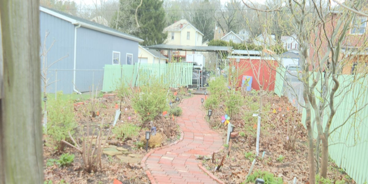 Warmke showcases her forest garden, Warmke farms