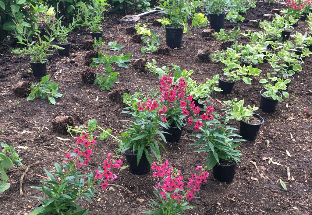 Start the growing season with soil improvement Start the growing season with soil improvement