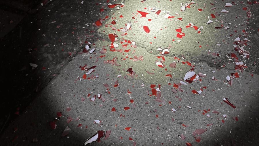 Chihuly Garden vandalism suspect charged with 3 crimes Chihuly Garden...