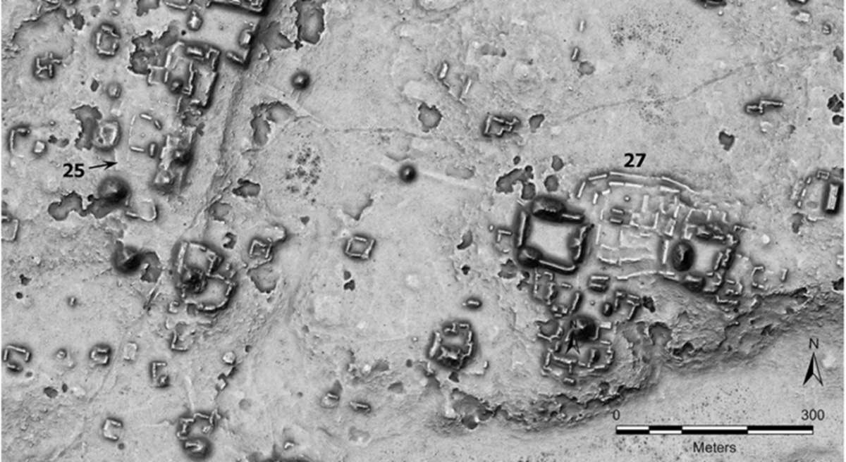 Circles found in the Mayan area may reveal ancient markets linked to trade, social life, and ritual practices.