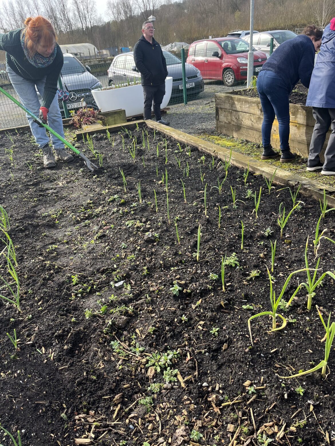 Spring planning is an important job in any garden SUMMER PLANNING: Preparing the beds with fresh compost at Colin Community Allotments