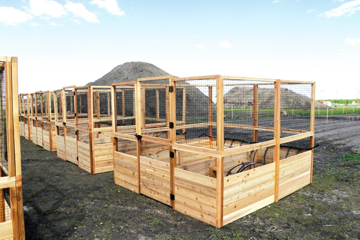 Moosomin community garden plots available for upcoming growing season