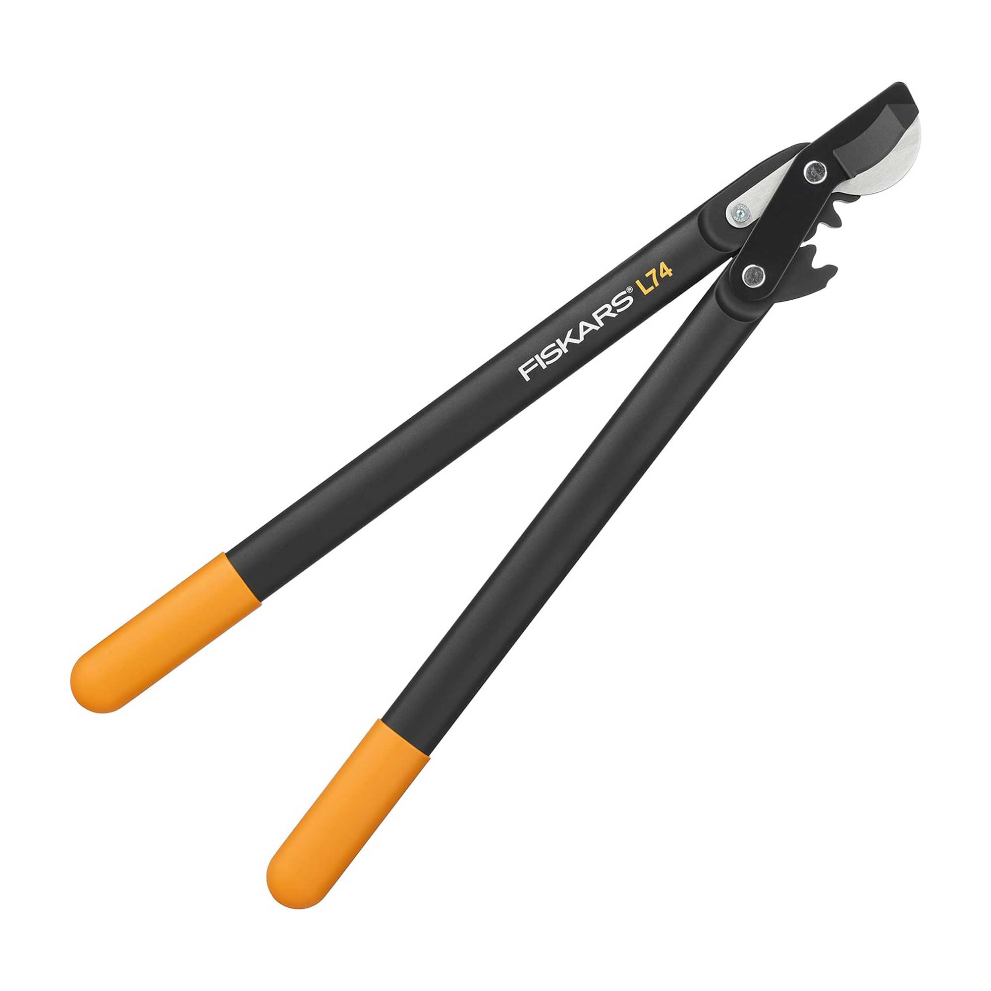 Fiskars loppers on white background