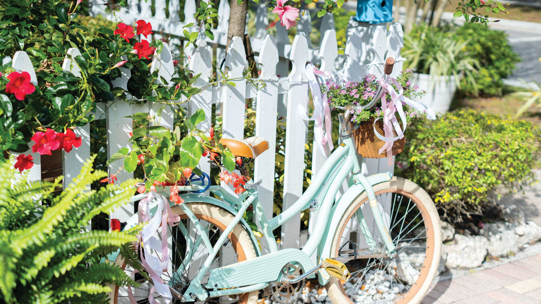 A fence and mint-colored bike provide charming focal points.