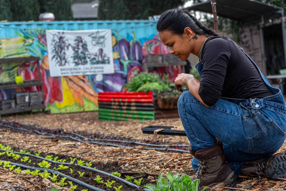 Woman looking at crops