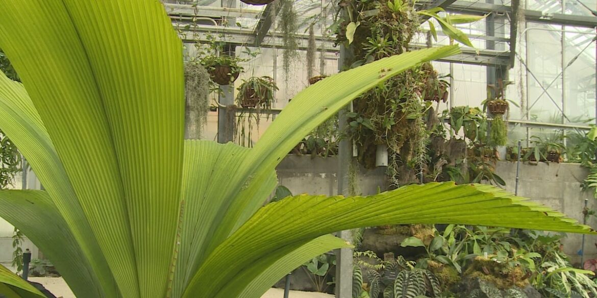 Lauritzen Gardens among top botanical gardens in the country, according to USA Today Lauritzen Gardens among top botanical gardens in the country, according to USA Today