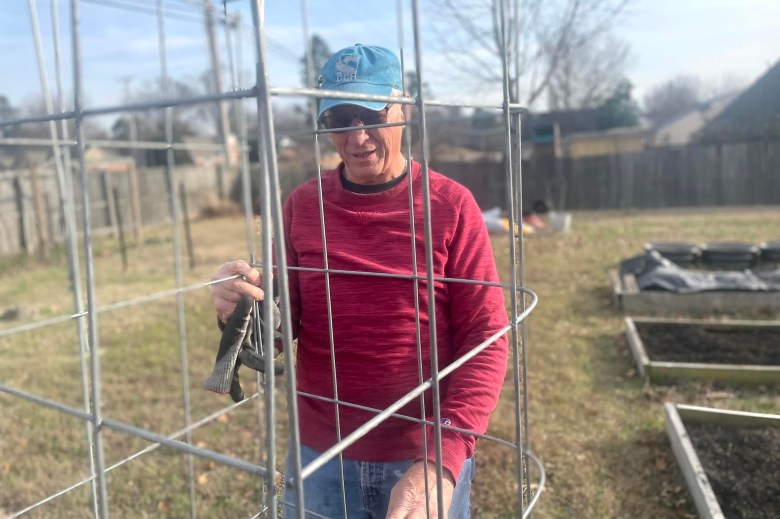 A man in a blue baseball cap and red top works with some large wire cages in a garden