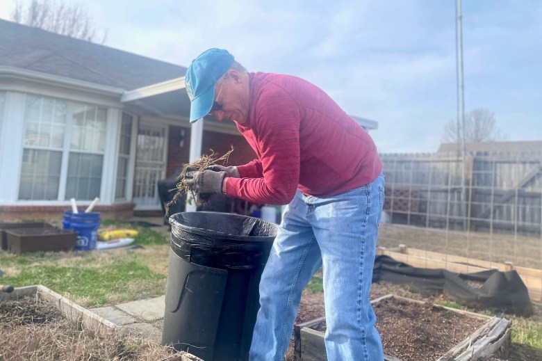 A man in a blue baseball cap and red top weeds a backyard garden