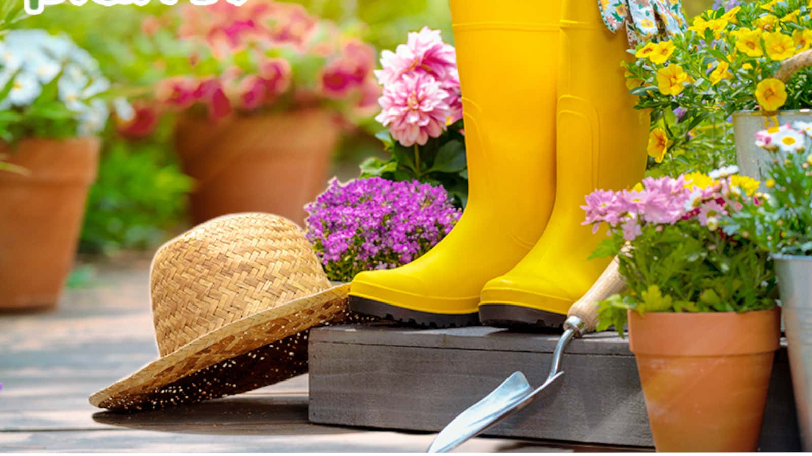 Soil Moisture Meter Tester for Plants