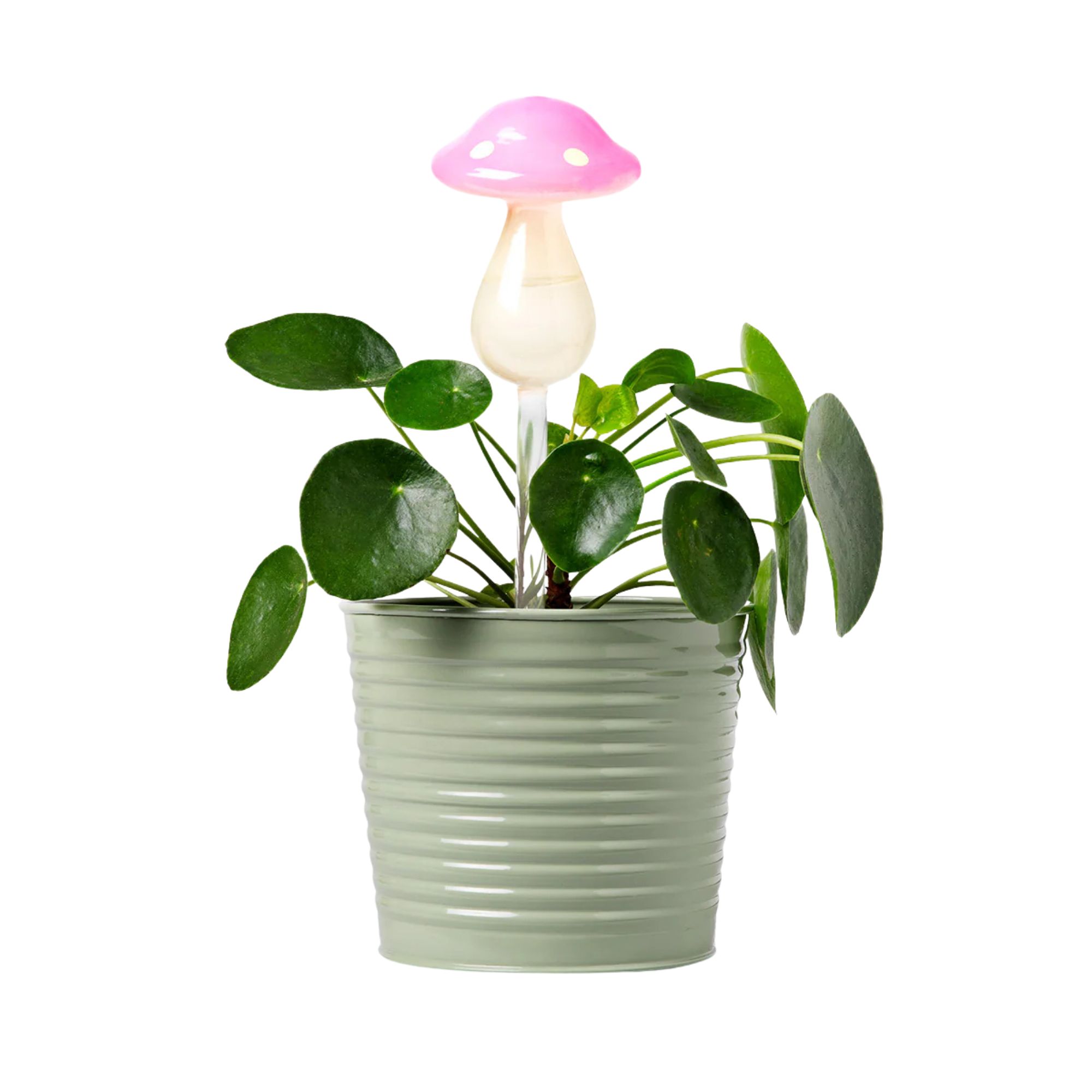 Flying Tiger Copenhagen, Mushroom Self Watering Spike