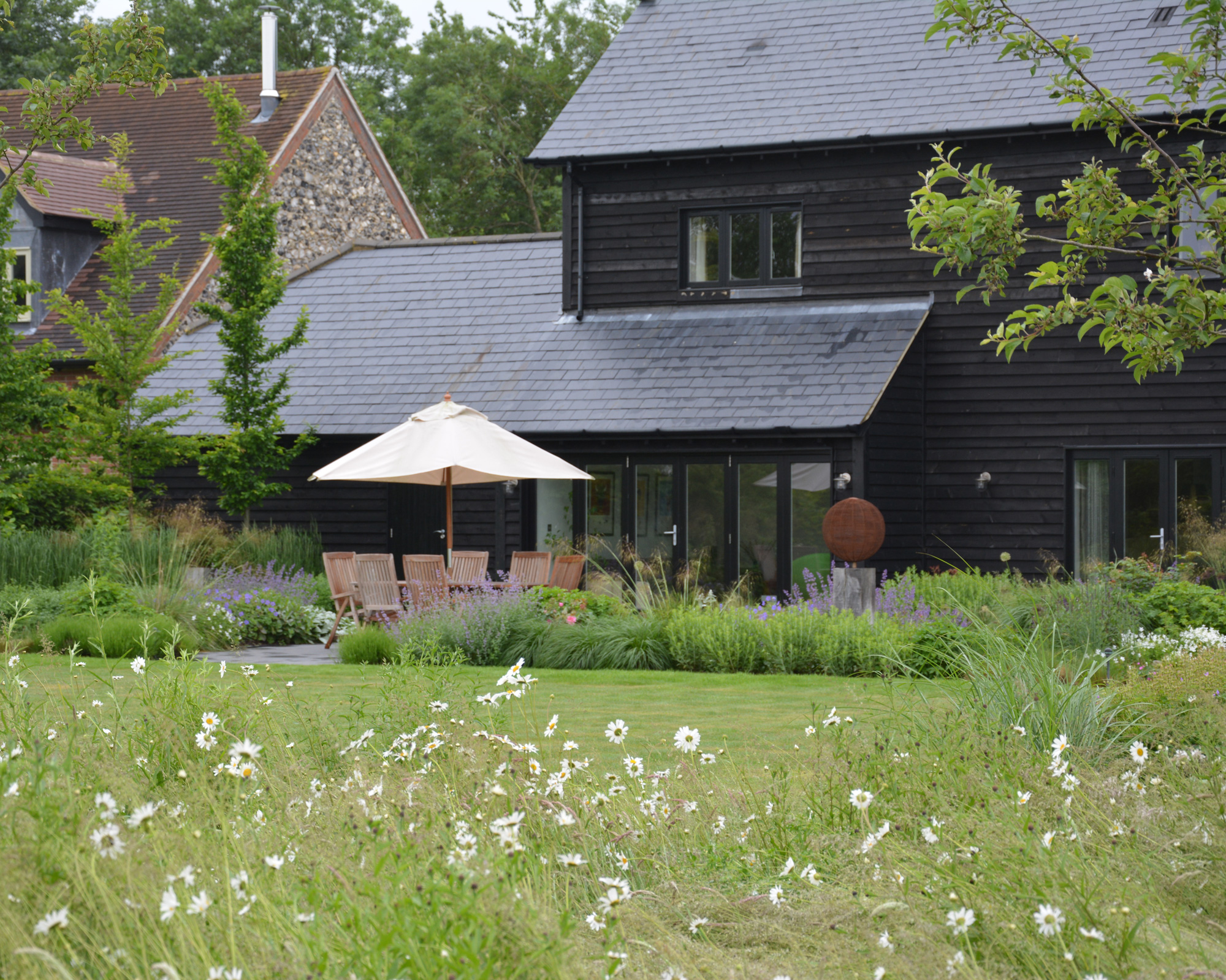 lawn with wildflowers