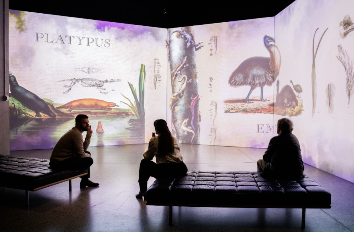 Empress Joséphine’s Garden Coming To ILA This April — The Note Empress Joséphine’s Garden Coming To ILA This April — The Note