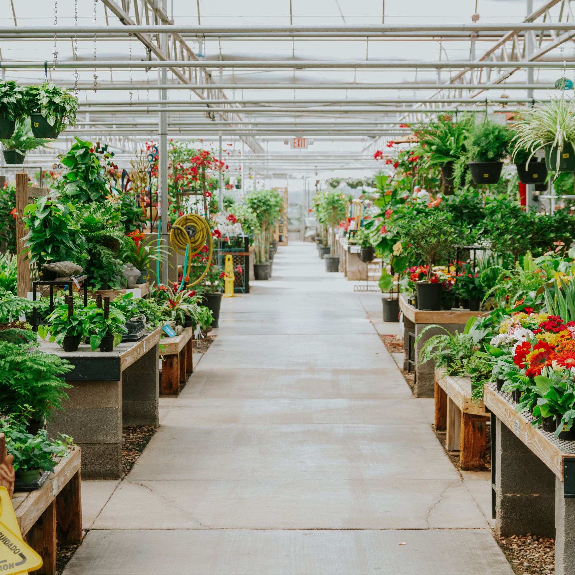 garden centre