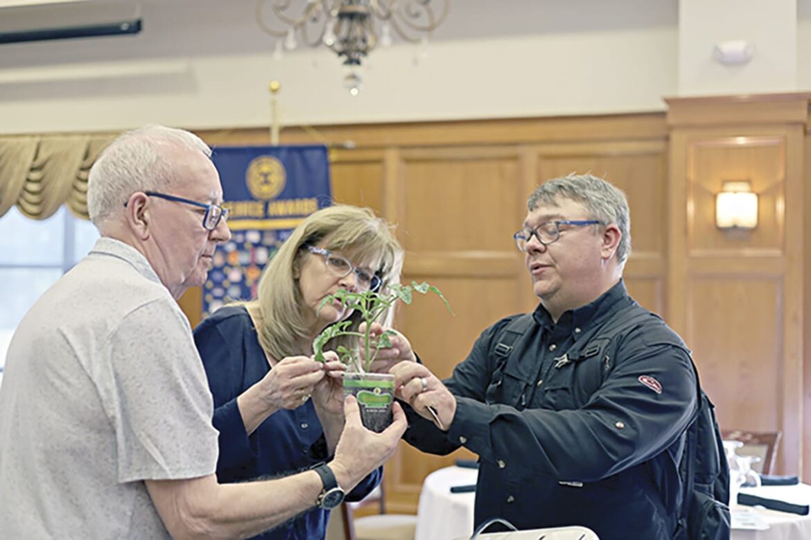Area gardeners get head start on tomato season Area gardeners get head start on tomato season