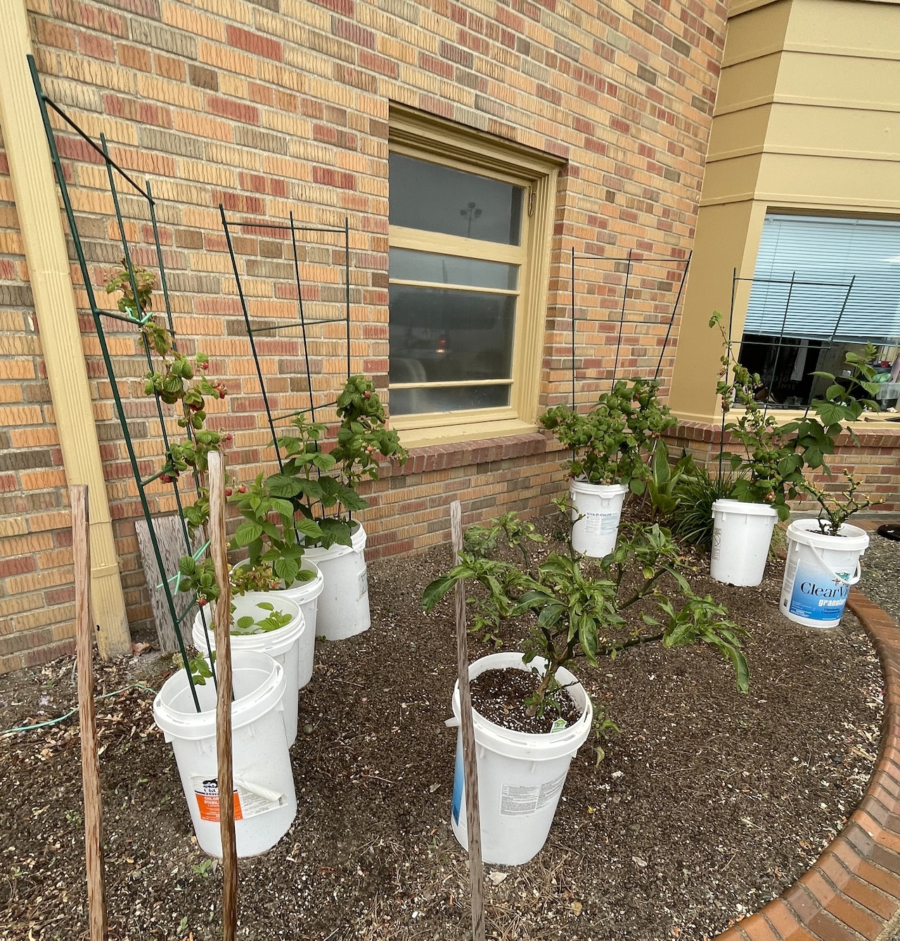 How to garden smarter, not harder, as you age