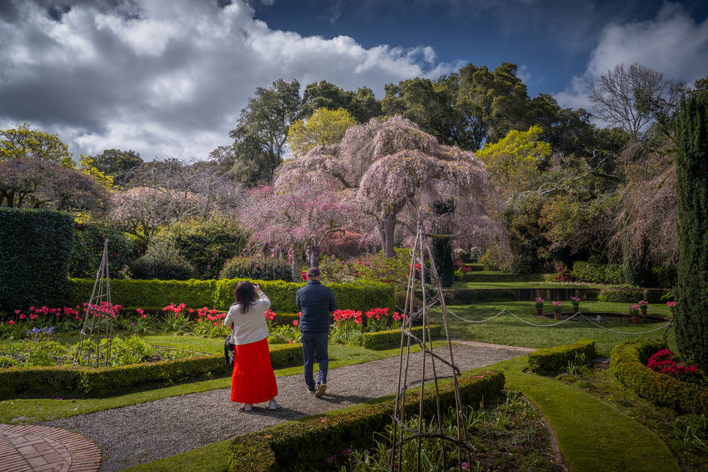 Two people walk down a pathway at Filoli.