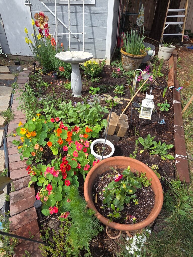 First time gardener and doing better than expected First time gardener and doing better than expected