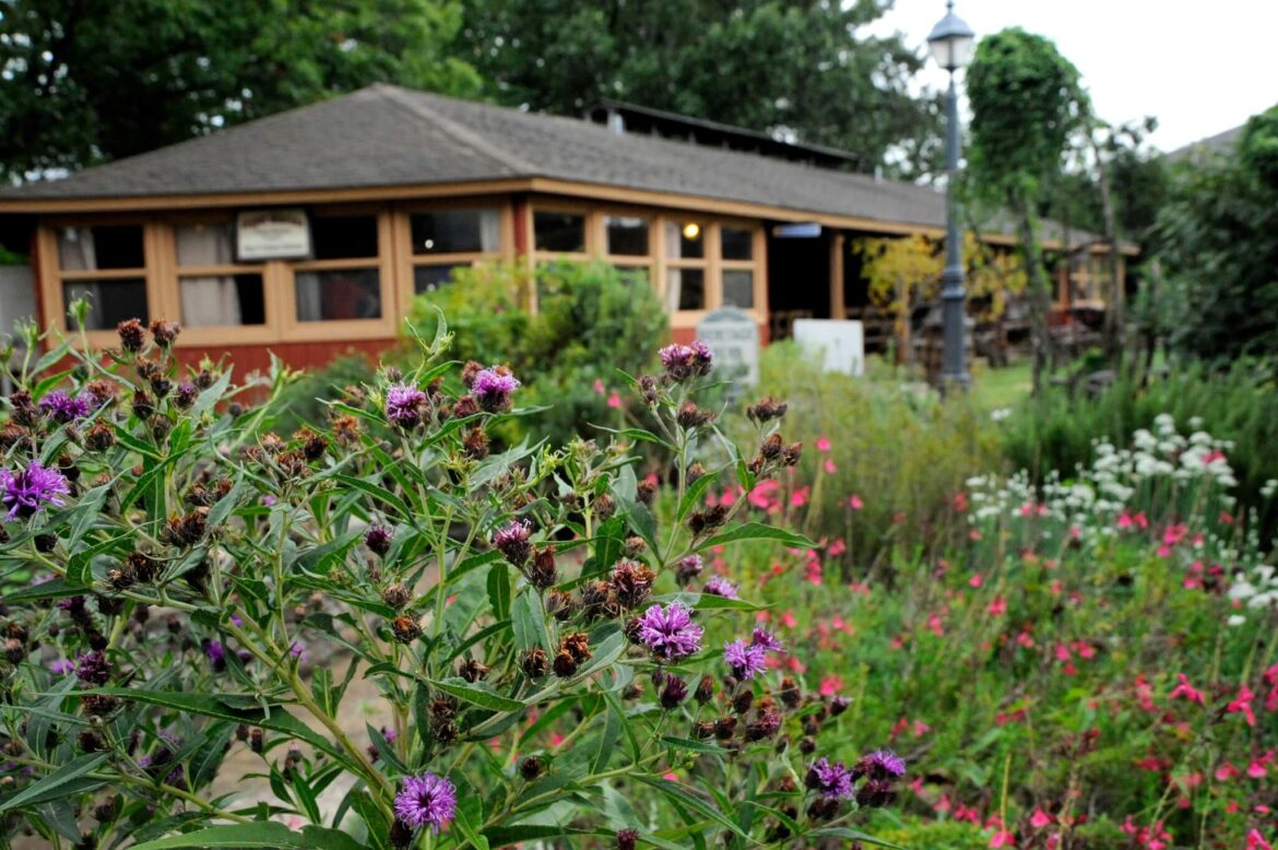 Ozark Folk Center hosting Heritage Herb Garden Spring Extravaganza in May