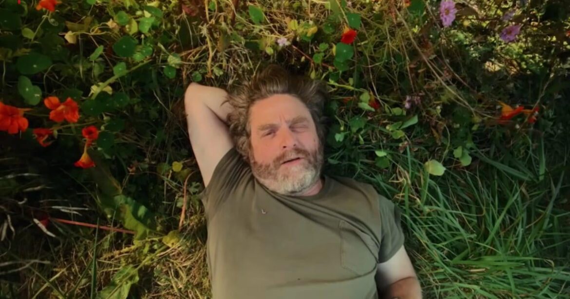 “For human beings and for the world itself, the only future is agrarian.” Zach Galifianakis has a new Netflix series premiering on Earth Day. 'This is a gardening show' looks like it's going to be simply delightful <3