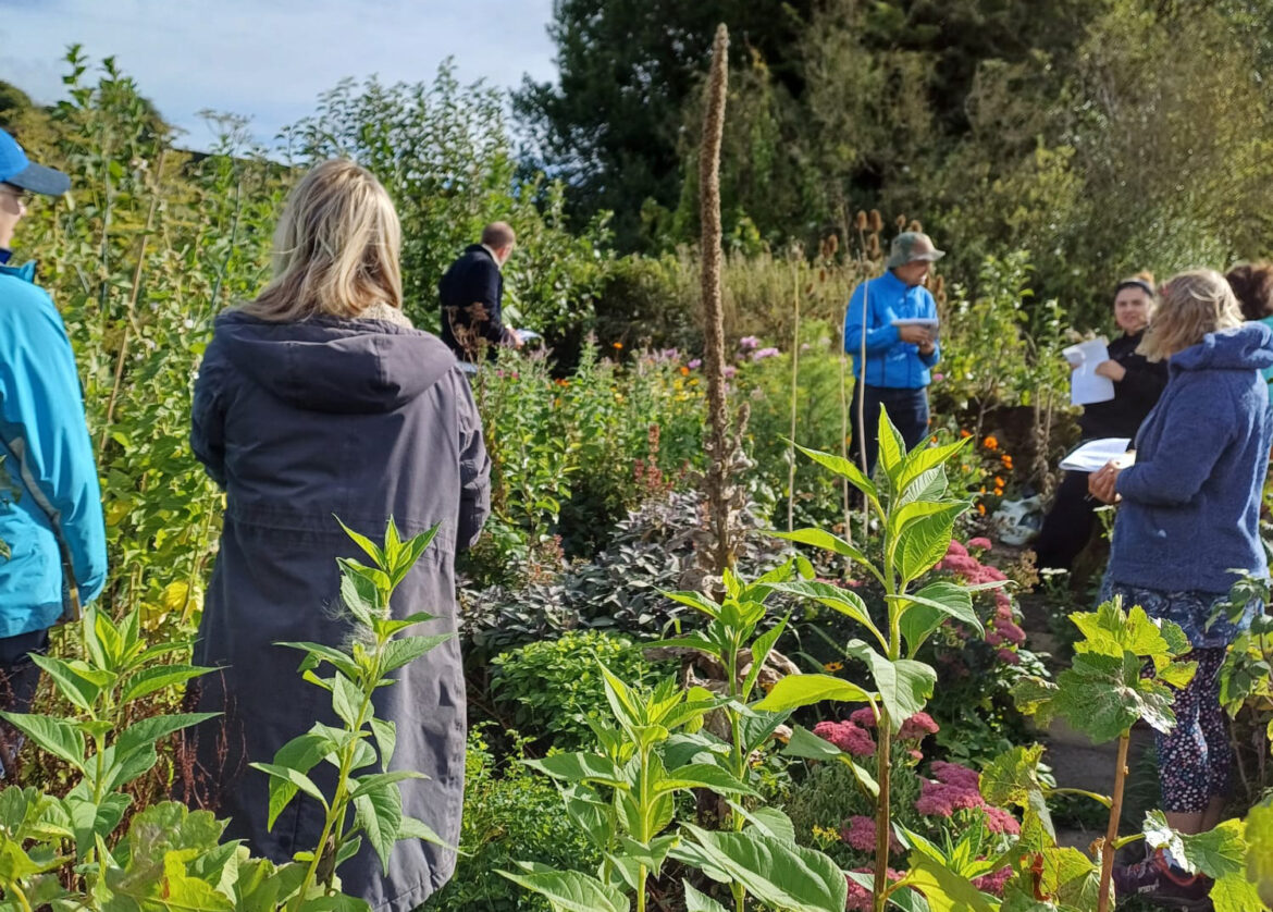 Course offers chance to learn about forest gardening