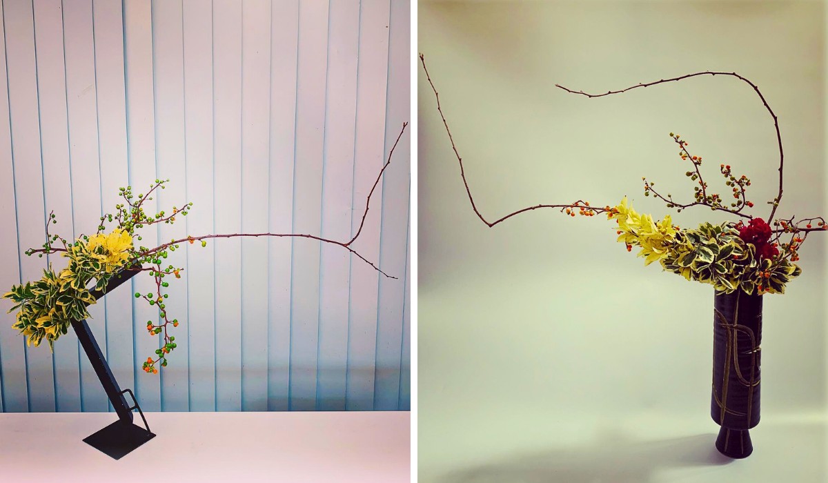 Fortune’s Spindle Vine, Also Called Euonymus Fortunei