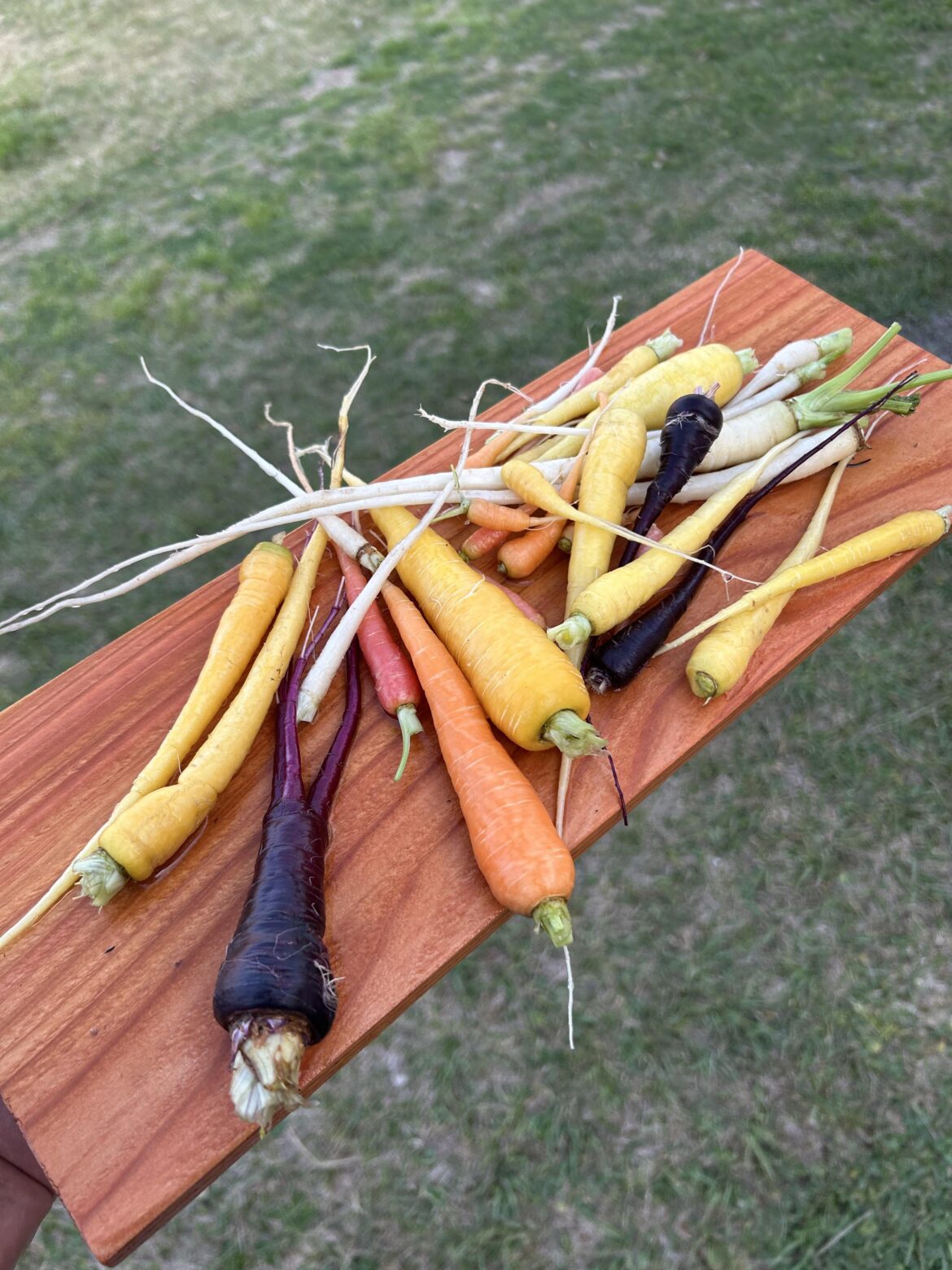 Fun with my daughter