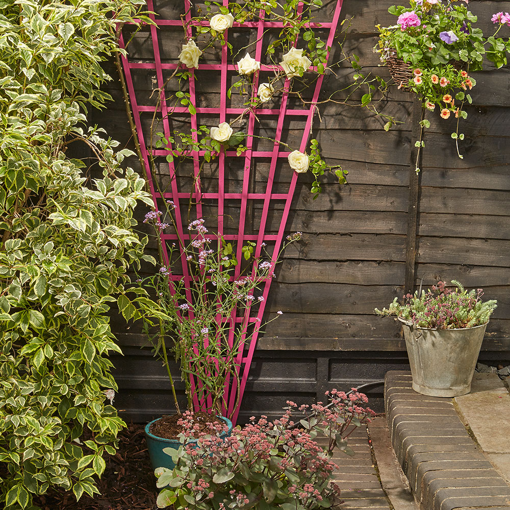 garden area with wooden wall and plants and pots