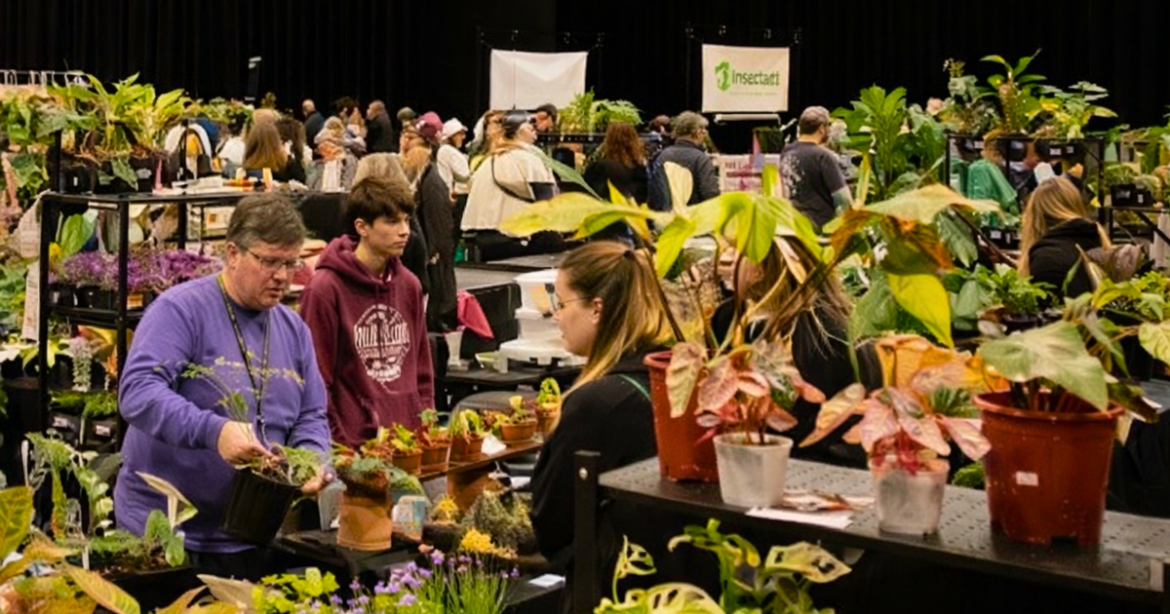 A massive houseplant marketplace is coming to Oaks for Plantella X A massive houseplant marketplace is coming to Oaks for Plantella X