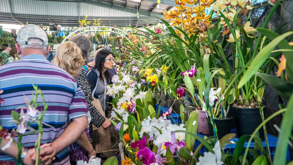 New look Garden Show on track for this July at the Nambour Showgrounds — The Sunshine Valley Gazette New look Garden Show on track for this July at the Nambour Showgrounds — The Sunshine Valley Gazette