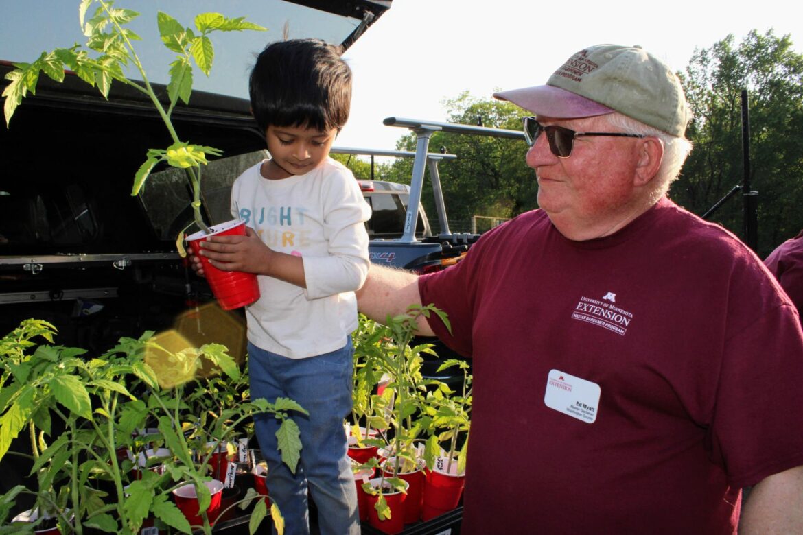Woodbury Community Garden Grows to 96 Plots, Adds ADA Beds – Woodbury News Net