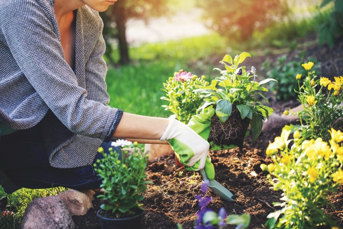 Symposium offers something for new, experienced home gardeners article image -