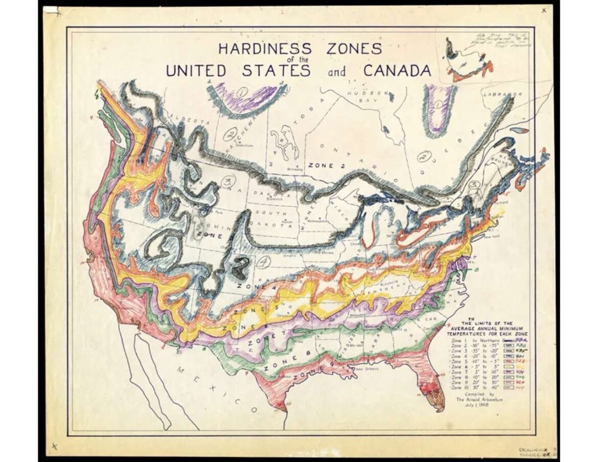 MAINE-LY GARDENING: What’s your zone?