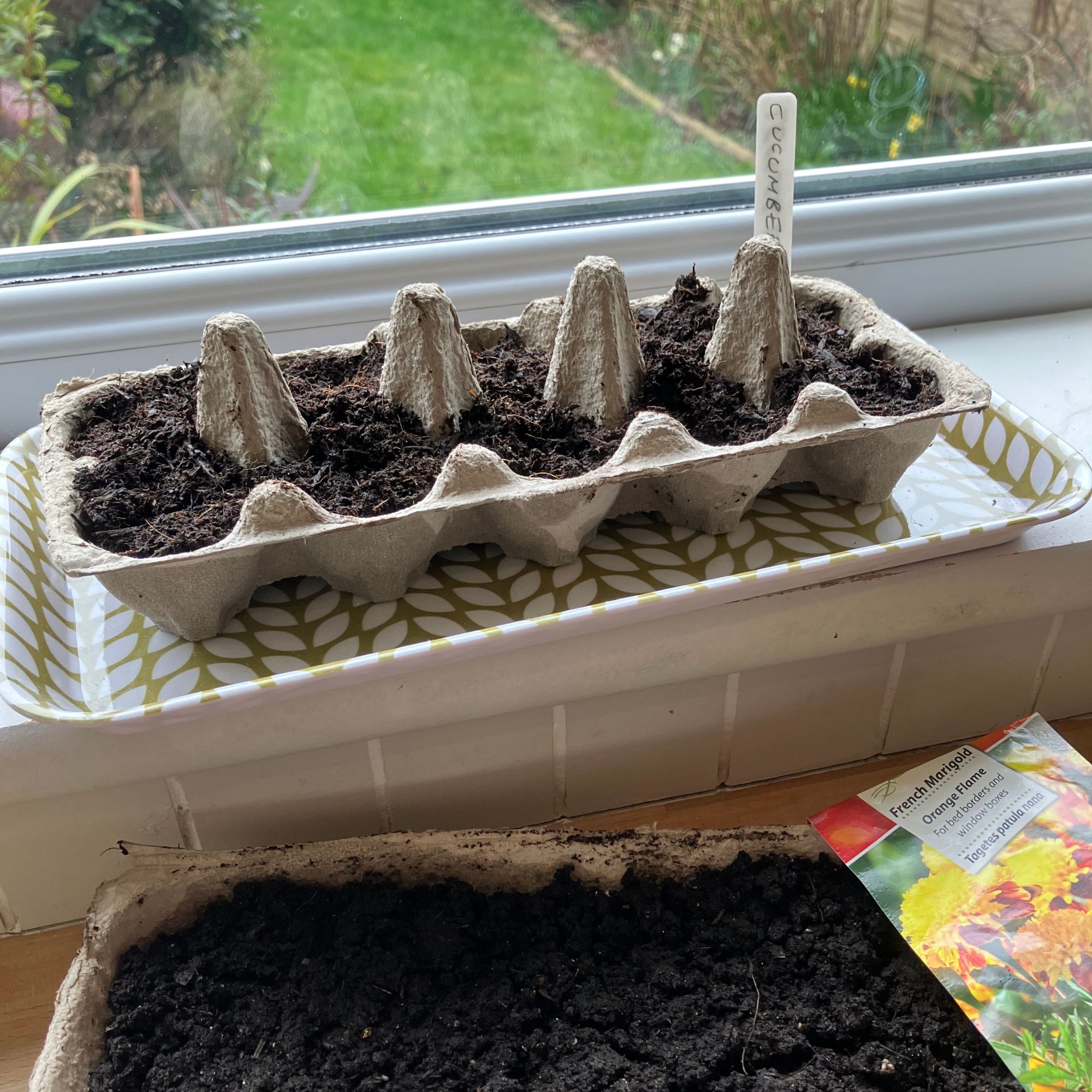 ecycling egg cartons to plant seeds in the garden