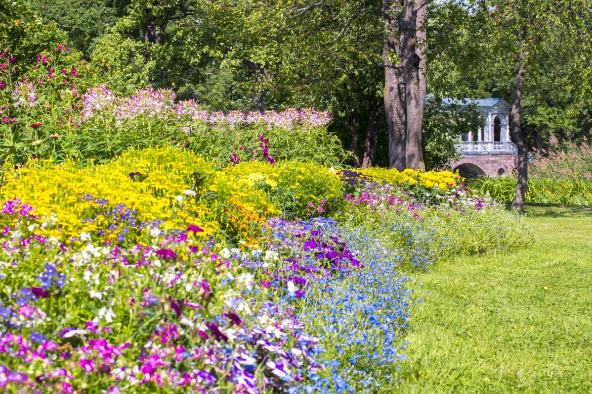 5 Popular Plants Gardeners Are Tired of Seeing Everywhere