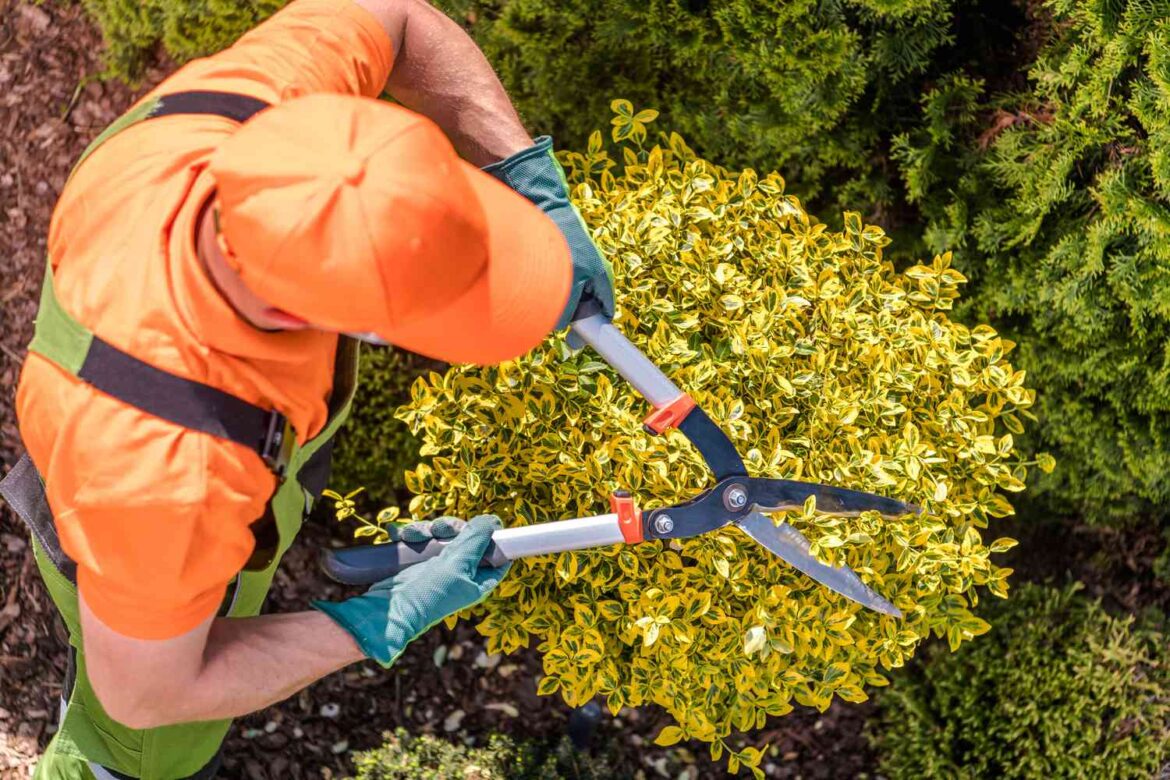 8 Gardening Tips Professional Gardeners Swear By