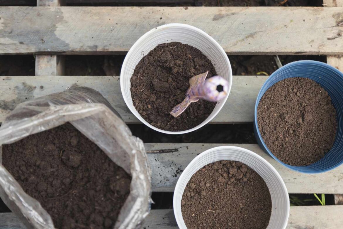 How To Refresh Potted Soil For Spring—Without Emptying The Pot