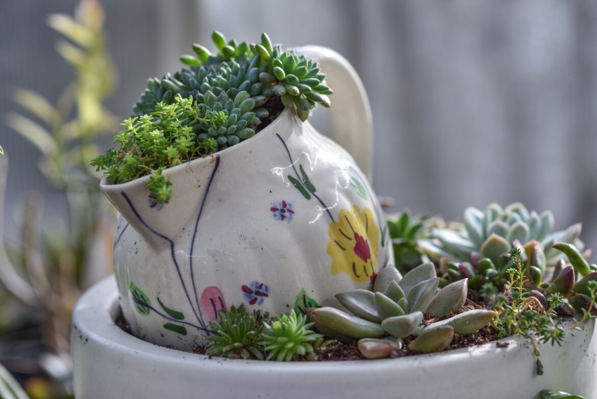 5 Tacky Landscaping Trends Designers Secretly Love