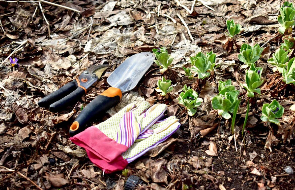 I’m a Master Gardener, and I Try to Do These 5 Garden Chores Before the First Day of Spring I'm a Master Gardener, and I Try to Do These 5 Garden Chores Before the First Day of Spring