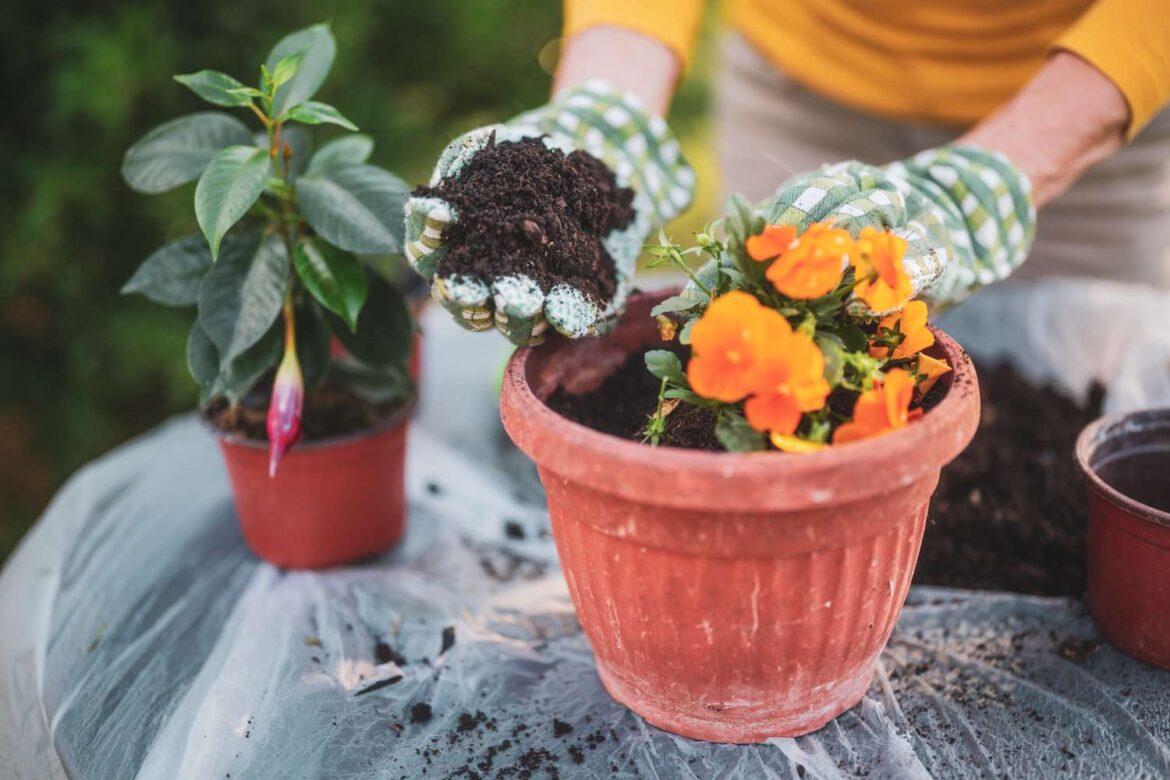 Yes, Potting Soil Can Go Bad—Here’s How Long It Really Lasts Yes, Potting Soil Can Go Bad—Here’s How Long It Really Lasts